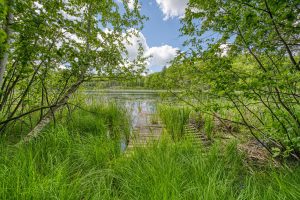 , Florence,  WI 54121 USA