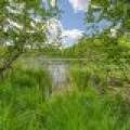 , Florence,  WI 54121 USA