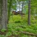 , Florence,  WI 54121 USA