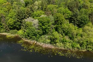 , Florence,  WI 54121 USA
