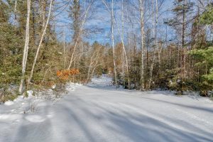 5897 Mclain Dr, , Homestead,  WI 54120