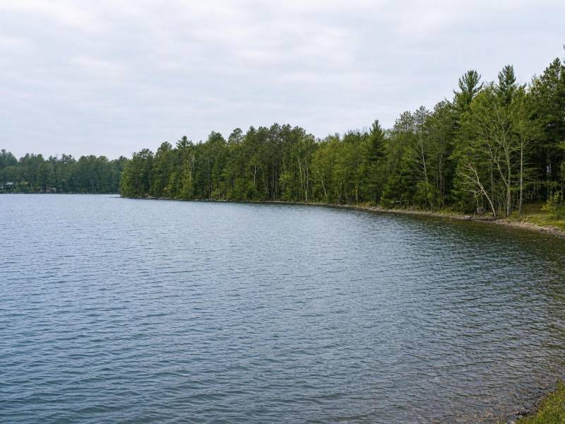 667 HWY 45, Town of Lincoln, Eagle River,  WI 54521 USA