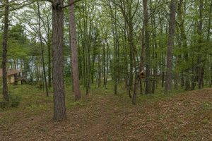 667 HWY 45, Town of Lincoln, Eagle River,  WI 54521 USA