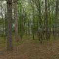 667 HWY 45, Town of Lincoln, Eagle River,  WI 54521 USA