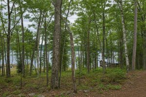667 HWY 45, Town of Lincoln, Eagle River,  WI 54521 USA