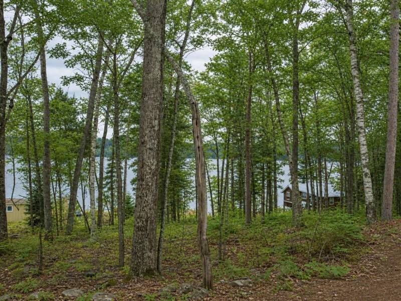 667 HWY 45, Town of Lincoln, Eagle River,  WI 54521 USA