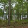667 HWY 45, Town of Lincoln, Eagle River,  WI 54521 USA