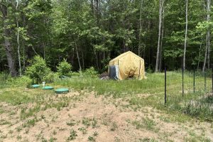 12806 Tall Pines Dr, Lac du Flambeau, Minocqua,  WI 54548 USA