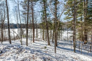 , Florence,  WI 54121 USA