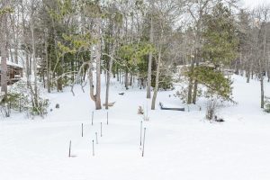 667 HWY 45, Town of Lincoln, Eagle River,  WI 54521 USA