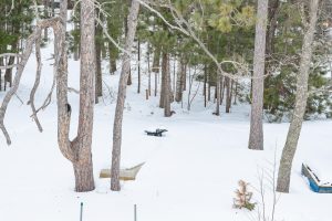 667 HWY 45, Town of Lincoln, Eagle River,  WI 54521 USA