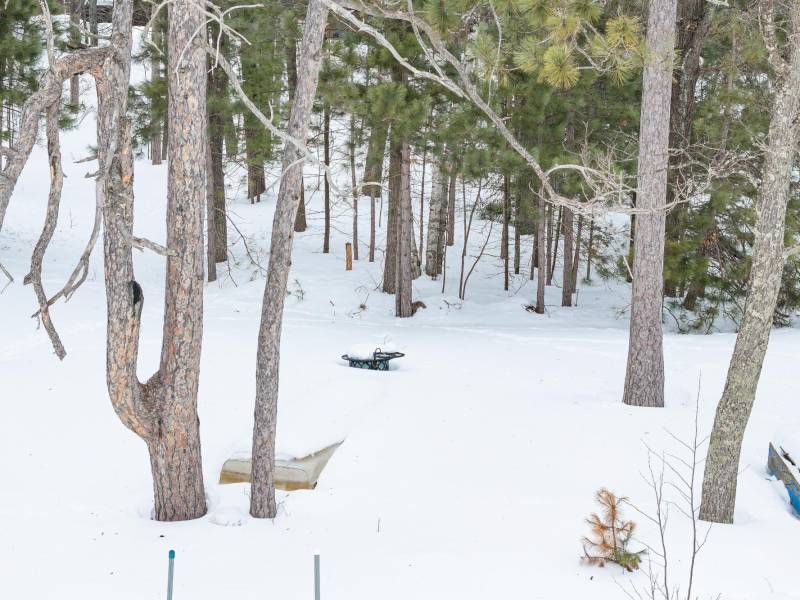 667 HWY 45, Town of Lincoln, Eagle River,  WI 54521 USA