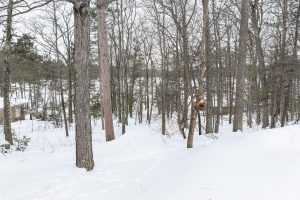 667 HWY 45, Town of Lincoln, Eagle River,  WI 54521 USA