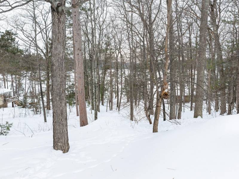 667 HWY 45, Town of Lincoln, Eagle River,  WI 54521 USA