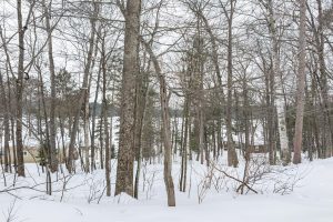 667 HWY 45, Town of Lincoln, Eagle River,  WI 54521 USA