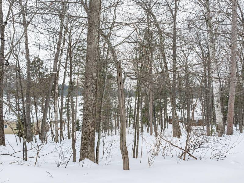 667 HWY 45, Town of Lincoln, Eagle River,  WI 54521 USA