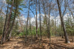 Lots 13 & 14 Off Norway Pine Dr, , Eagle River,  WI 54521