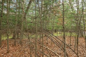 Lots 13 & 14 Off Norway Pine Dr, , Eagle River,  WI 54521