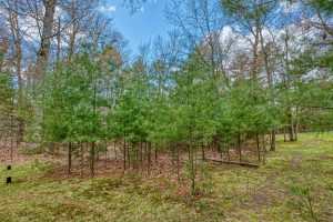 Lots 13 & 14 Off Norway Pine Dr, , Eagle River,  WI 54521