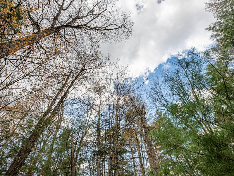 Lots 13 & 14 Off Norway Pine Dr, , Eagle River,  WI 54521