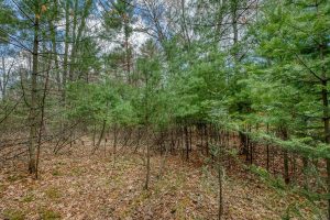 Lots 13 & 14 Off Norway Pine Dr, , Eagle River,  WI 54521