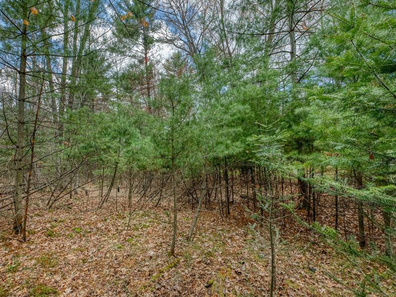Lots 13 & 14 Off Norway Pine Dr, , Eagle River,  WI 54521