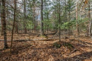 Lots 13 & 14 Off Norway Pine Dr, , Eagle River,  WI 54521