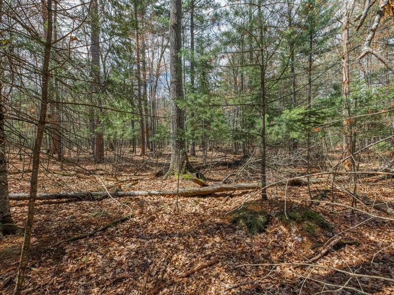 Lots 13 & 14 Off Norway Pine Dr, , Eagle River,  WI 54521