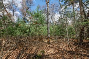 Lots 13 & 14 Off Norway Pine Dr, , Eagle River,  WI 54521