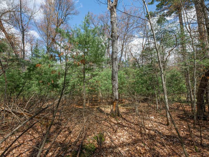 Lots 13 & 14 Off Norway Pine Dr, , Eagle River,  WI 54521