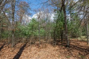 Lots 13 & 14 Off Norway Pine Dr, , Eagle River,  WI 54521