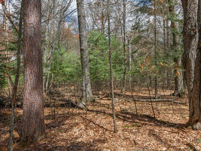 Lots 13 & 14 Off Norway Pine Dr, , Eagle River,  WI 54521