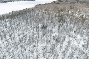 24.7 Acre Off Horsehead Lake Rd, , Cassian,  WI 54529