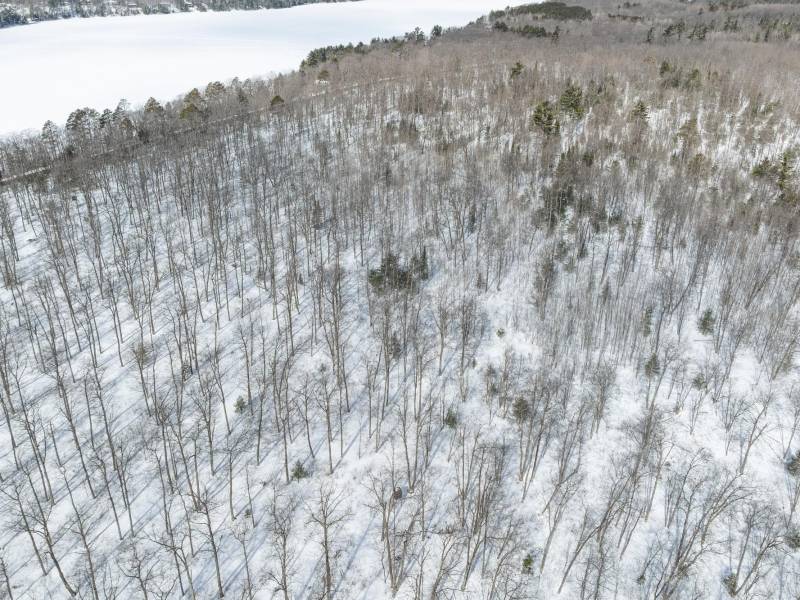 24.7 Acre Off Horsehead Lake Rd, , Cassian,  WI 54529