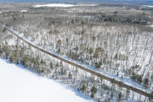 24.7 Acre Off Horsehead Lake Rd, , Cassian,  WI 54529