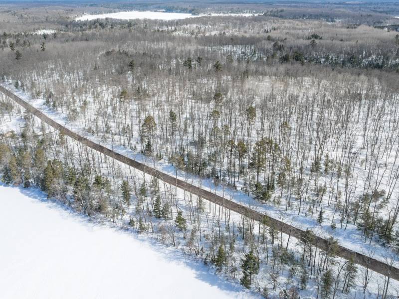 24.7 Acre Off Horsehead Lake Rd, , Cassian,  WI 54529