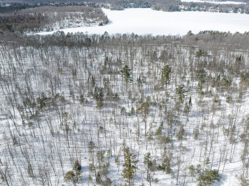24.7 Acre Off Horsehead Lake Rd, , Cassian,  WI 54529