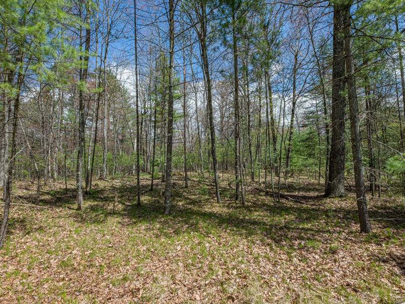 Lots 4 & 5 Off Eagle Waters Rd, , Eagle River,  WI 54521
