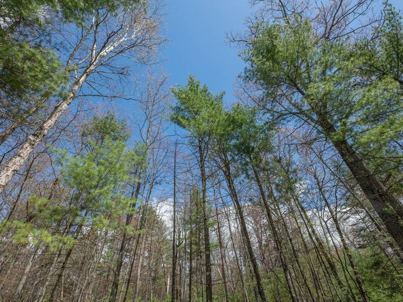 Lots 4 & 5 Off Eagle Waters Rd, , Eagle River,  WI 54521