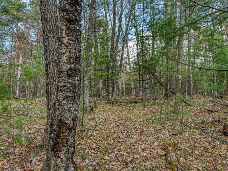 Lots 4 & 5 Off Eagle Waters Rd, , Eagle River,  WI 54521