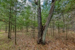 Lots 4 & 5 Off Eagle Waters Rd, , Eagle River,  WI 54521