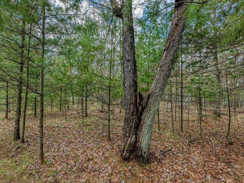 Lots 4 & 5 Off Eagle Waters Rd, , Eagle River,  WI 54521