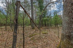 Lots 4 & 5 Off Eagle Waters Rd, , Eagle River,  WI 54521