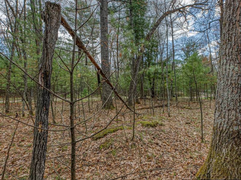 Lots 4 & 5 Off Eagle Waters Rd, , Eagle River,  WI 54521