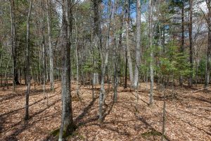 Lots 4 & 5 Off Eagle Waters Rd, , Eagle River,  WI 54521