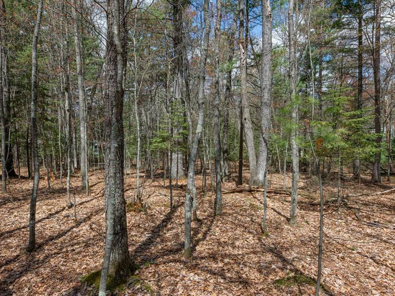 Lots 4 & 5 Off Eagle Waters Rd, , Eagle River,  WI 54521