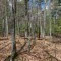 Lots 4 & 5 Off Eagle Waters Rd, , Eagle River,  WI 54521