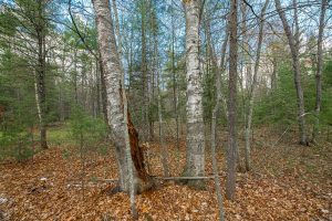 Lots 4 & 5 Off Eagle Waters Rd, , Eagle River,  WI 54521