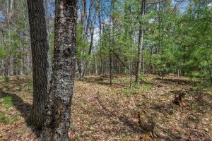 Lots 4 & 5 Off Eagle Waters Rd, , Eagle River,  WI 54521