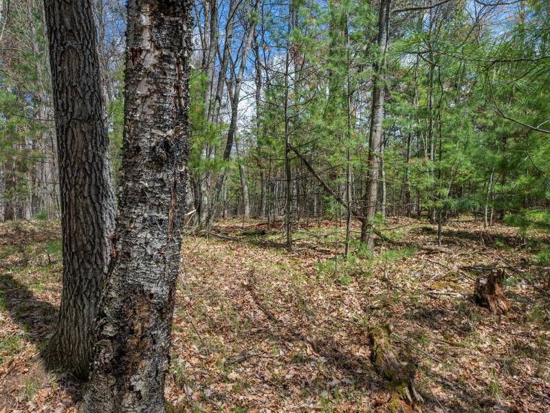 Lots 4 & 5 Off Eagle Waters Rd, , Eagle River,  WI 54521